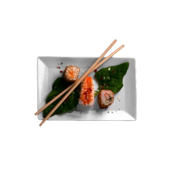 Sushi-Teller 20 x 13 cm