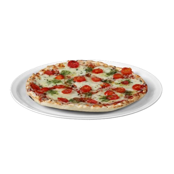 Profi Pizzateller 31,5 cm Hartporzellan