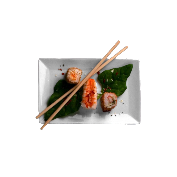 Sushi-Teller 20 x 13 cm